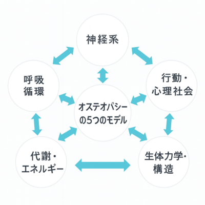 オステオパシーの5つのモデル（生体力学・呼吸循環・代謝栄養・神経・行動心理社会）の図解